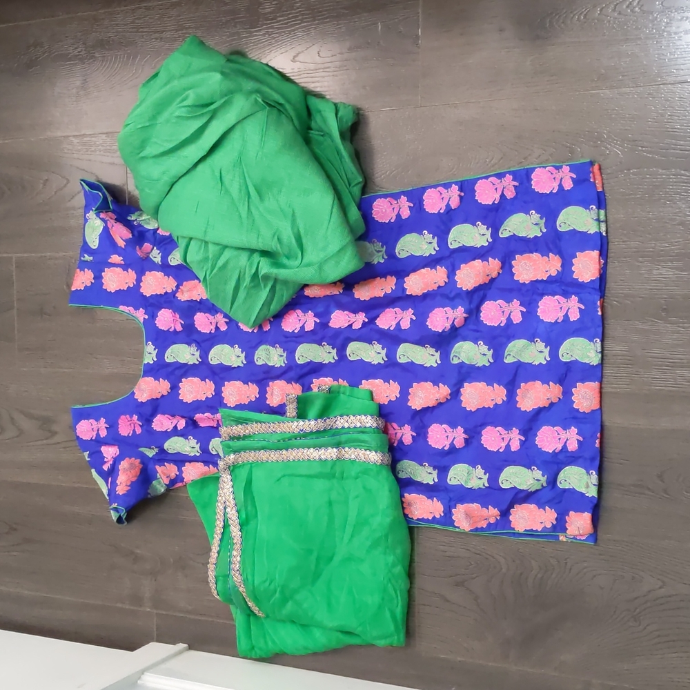 Blue, Green, Orange and Pink Punjabi Suit